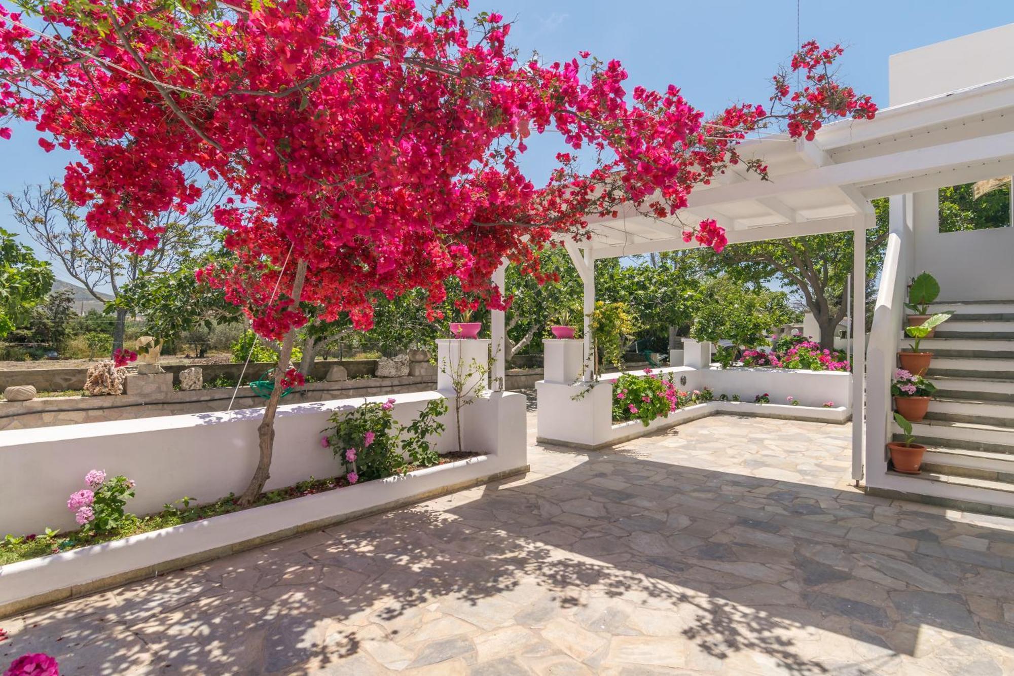 Lina And Babis' Home Adamantas  Екстериор снимка